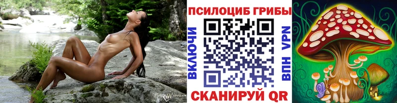 Галлюциногенные грибы GOLDEN TEACHER  купить  сайты  Шумерля 